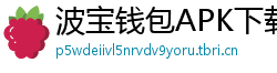 波宝钱包APK下载
